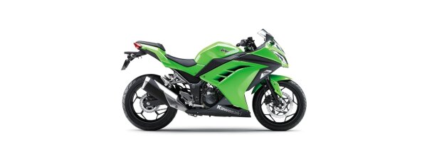 Ninja 300