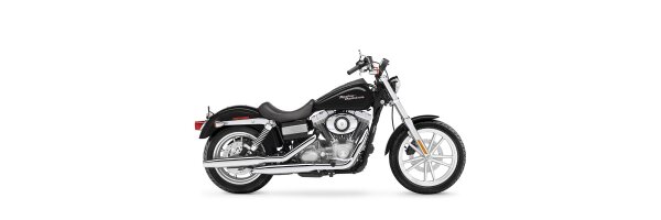 Dyna 2007-