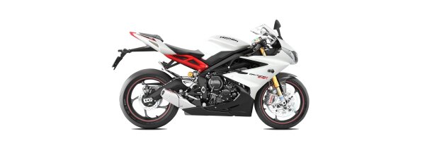 Daytona 2013-