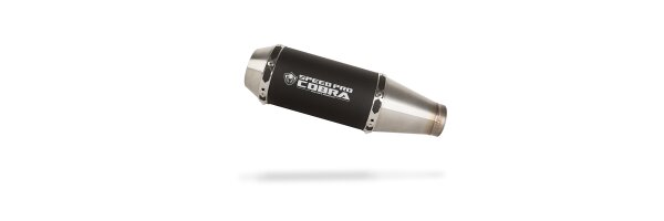 CS1R Series