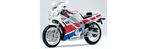 FZR 600