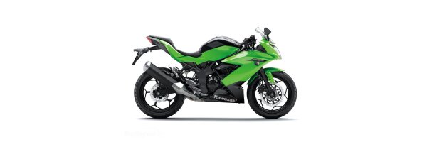 Ninja 250 SL