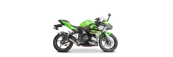 Ninja 400-Z400/Ninja 250/ 2018-