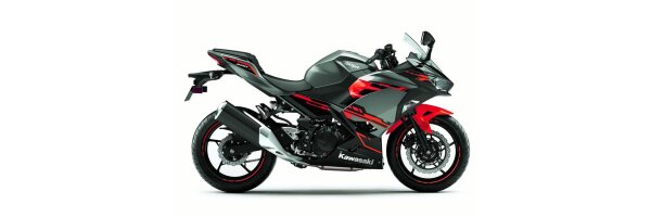 Ninja 250 2018-