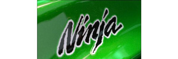 Ninja 1000 - Ninja 1100 -SX