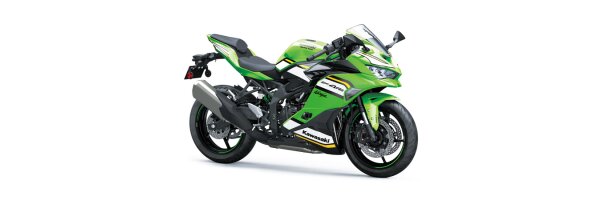 Ninja ZX-4 RR/R
