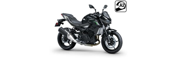 Z 500 2024-