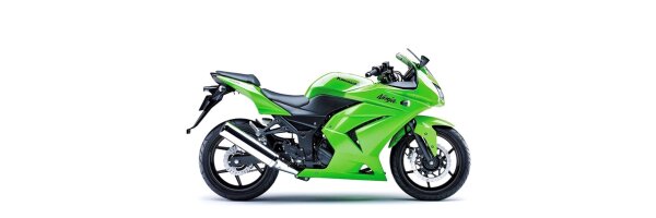 Ninja 250R