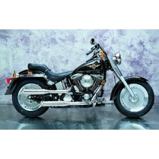 Eagle M7 Softail EVO/TC88/TC96 Fat Boy ab1990-2006 2in2...