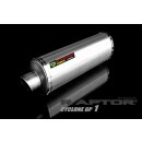 Raptore Cyclone GP1 Suzuki SV 650 04-06 Complete system 2in1 w. ABE-EG*