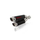 Raptor Factory GP2 Series Slipon Road Legal/EEC/ABE homologated