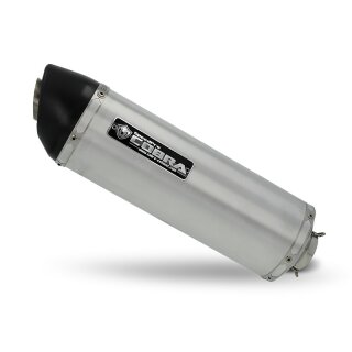 SPEEDPRO COBRA Street Cone3 Slip on Dämpfer mit EG-ABE