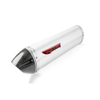 BMW K 1300 R+S - Cobra exhaust - Premium Quality, 499,95 €