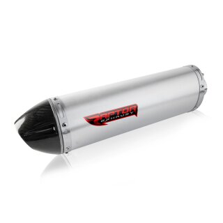 Motorrad Auspuffanlage Raptor ABE, 379,95 €