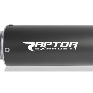 Raptor 2017 Laserlogo