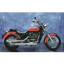 Eagle Sidewinder VT1100 C2 ACE full system (SC32) road legal