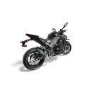 SPEEDPRO COBRA SP2 Black Series Slip-on mit EG-ABE Kawasaki Z 1100 / SE